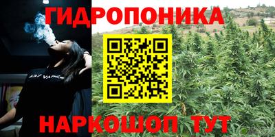 прущие крисы Кинель