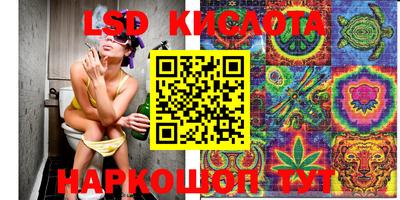 ПСИЛОЦИБИНОВЫЕ ГРИБЫ Кингисепп