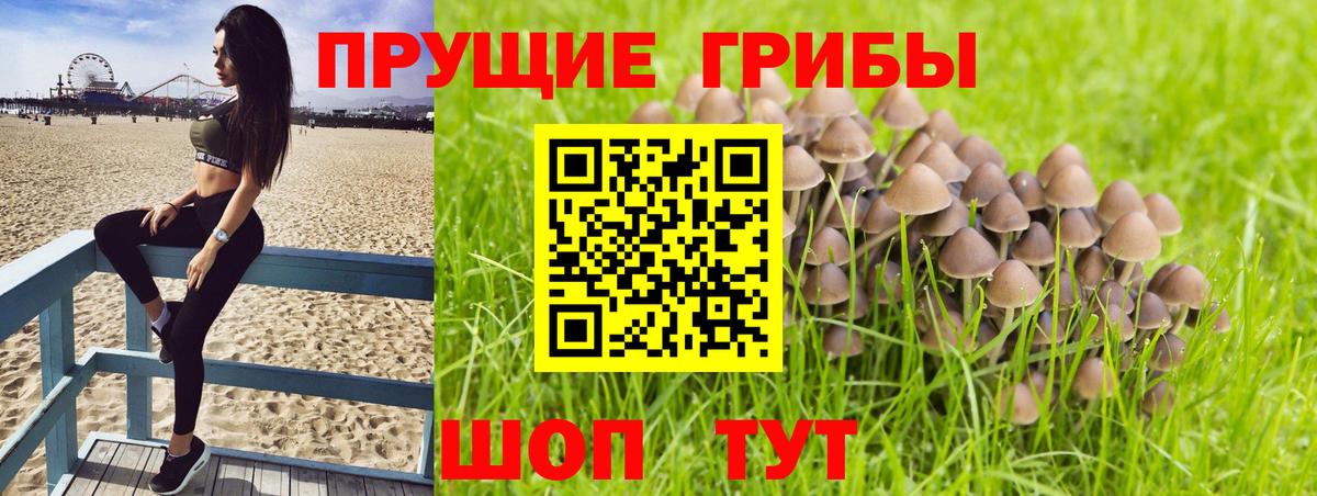 Галлюциногенные грибы мицелий Вологда