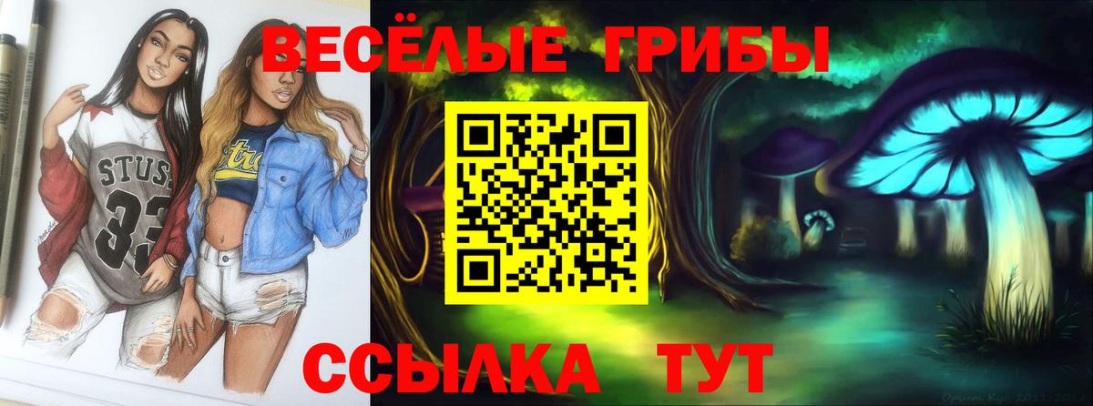 Вологда  Псилоцибиновые грибы MAGIC MUSHROOMS  Вход с VPN 